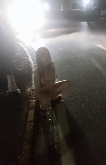 另类338弹-国产TS 艾罗-小合集(3V,180M)
