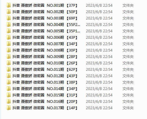 抖音 聂傲娇 微密圈  NO.001-017期 【649P+3V】【128MB百度云】