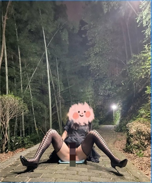 极品露出少女『奶油泡芙』和朋友电梯口做偶遇邻居回家 路边玩穴 野Z露出合集 【合集2.79G】