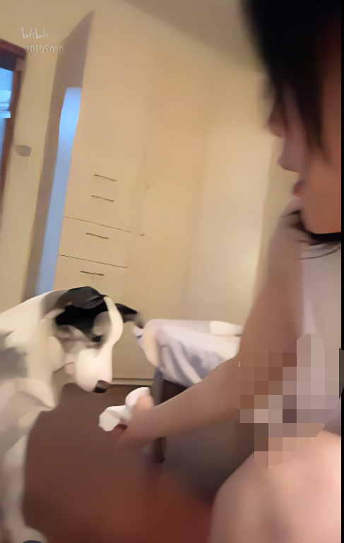 【朱朱海马】抖音闪现，不经意的走光坚挺美乳【2V 240MB】