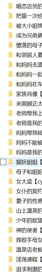 [黑岩玛瑙]28本  335m