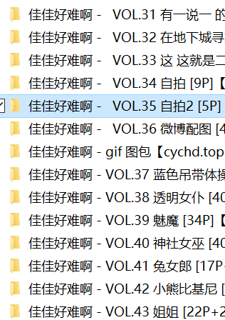 佳佳好难啊43套 3.35g