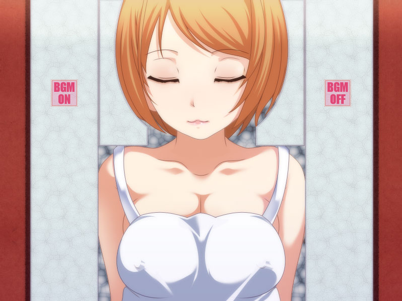 【触摸SLG】エッチドール [生肉]