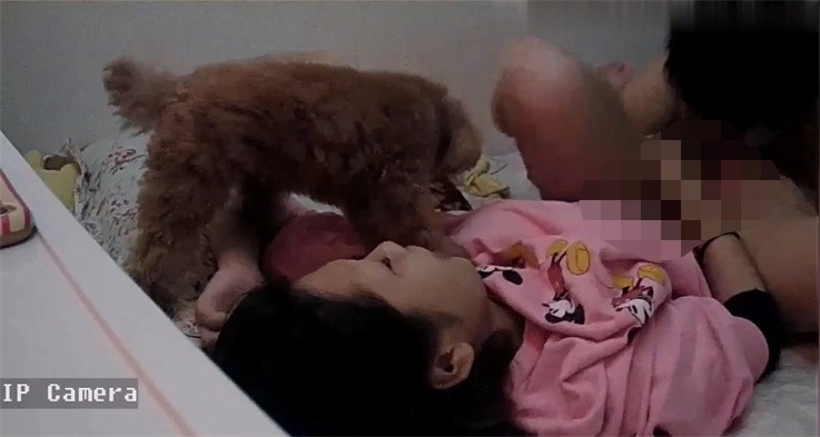 破解摄像头-年轻情侣73分钟2次性爱啪 漂亮女主多次高潮 超近距离 小狗也想参战 1320M