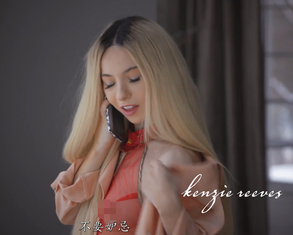 欧美AV-Kenzie Reeves-另一种生活,中文字幕(1V,1.7G)