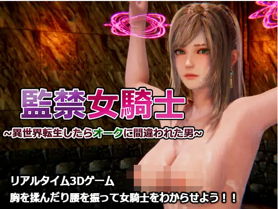 【调教互动SLG】監禁女騎士~異世界転生したらオークに間違われた男~DL正式版