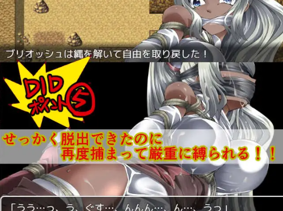 【RPG】DIDRPG~SS~王国骑士和拟态迷宫 精翻汉化版