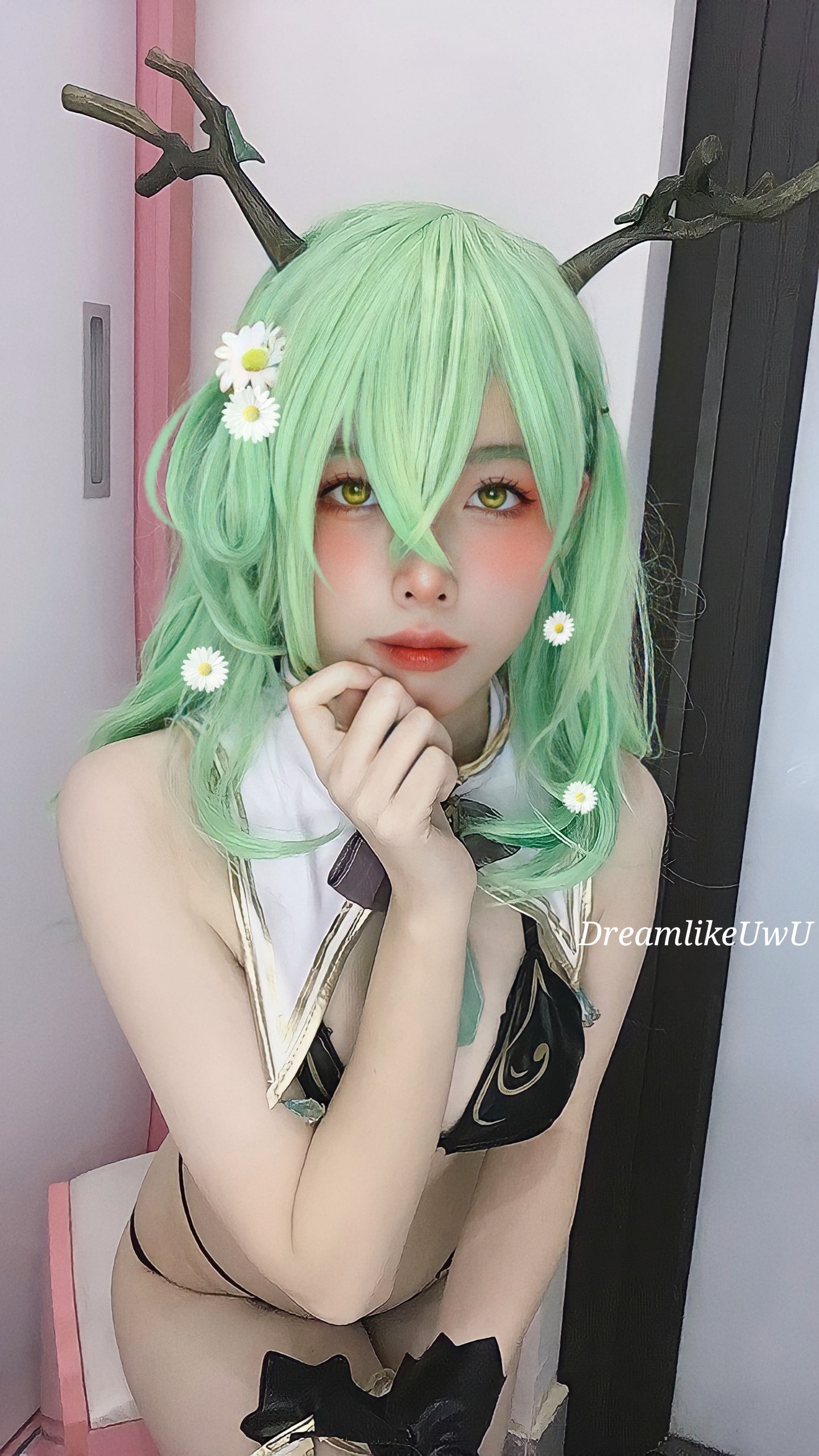 DreamlikeUwU - Fauna [30P 2V／359MB]