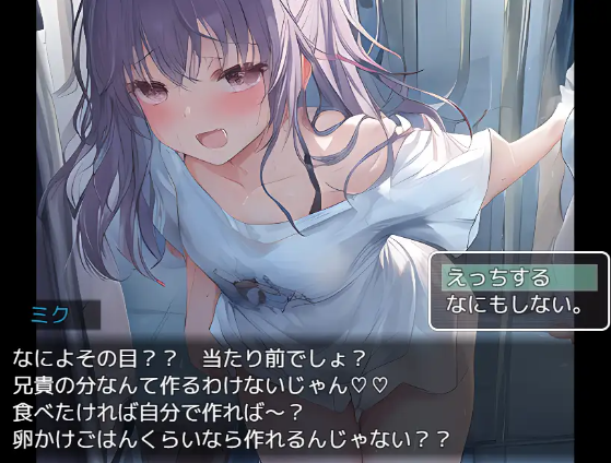 【日式RPG】[AI]NPC姦～姫とJKと妹を犯せ～ 云翻汉化版