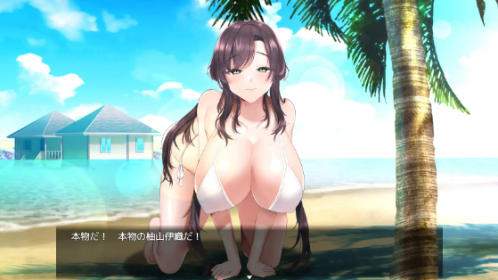 【互动调教SLG】強気なグラビアアイドルを監禁凌辱 云翻汉化版