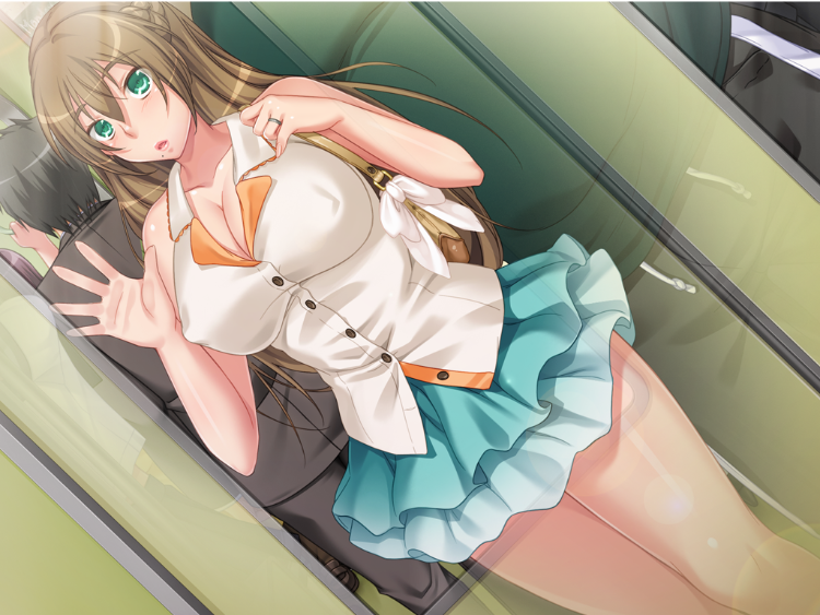 【日式ADV】[ANIM]兄貴の妻は俺の肉妻 ～夫には見せない淫らな貌を義弟に晒す巨乳若妻～GPT3.5汉化版
