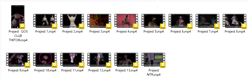 VAM-PROJECT 1-13+2个番外（15V）