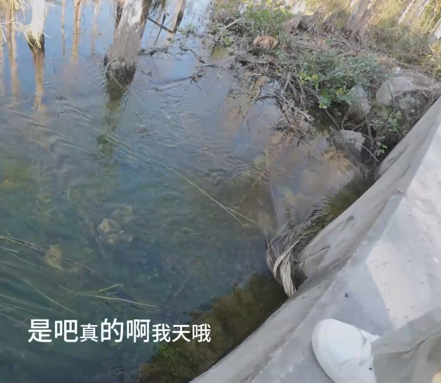 超极品福利姬-小水水-户外露出性爱体验 完整版(1V,813M)