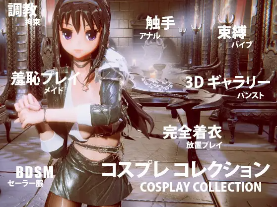 【3D模拟器】コスプレ コレクション DL官方中文版[2024.1.17]