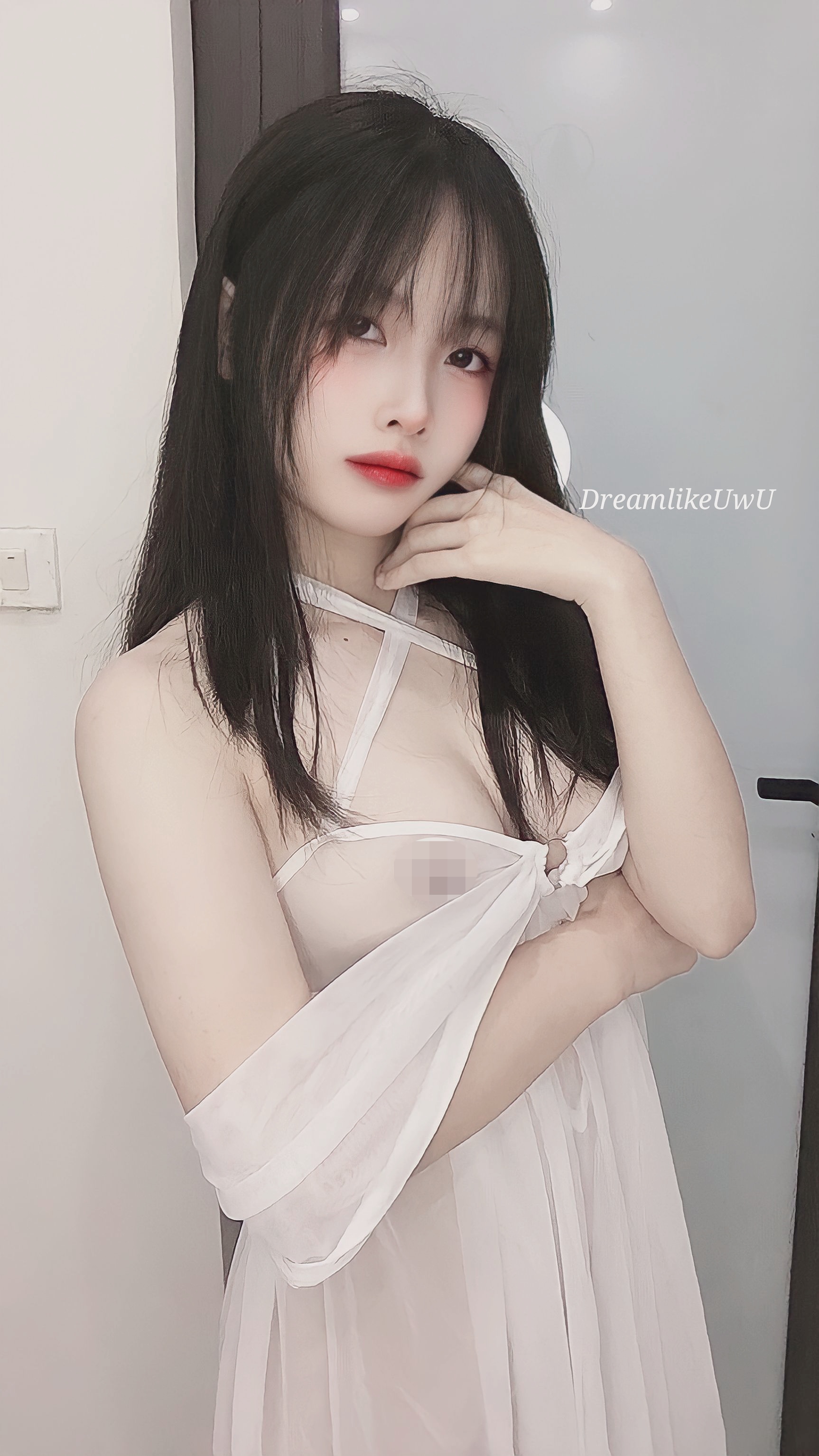 DreamlikeUwU - Pure [30P+2V／344MB]