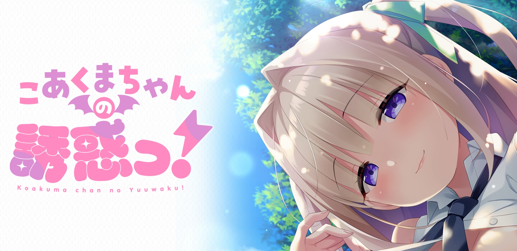 游戏：こあくまちゃんの誘惑っ！  1.2G