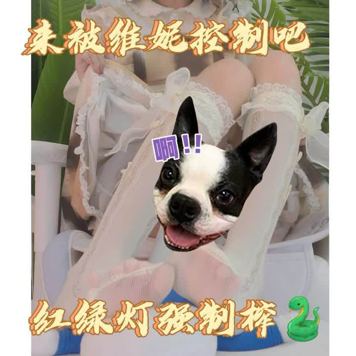 套路直播VlNNlE维妮 – Lolita第一视角【1V】【408MB百度云】