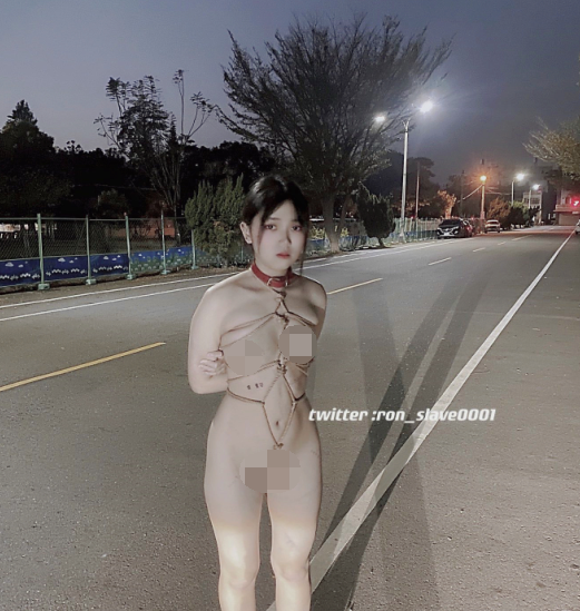 极品性奴母狗-ron的奴隶(ron_slave0001)-各种sm淋尿调教视图(80P,1V,1.64G)