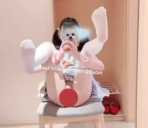 推特福利姬，小型萌犬-39V388M