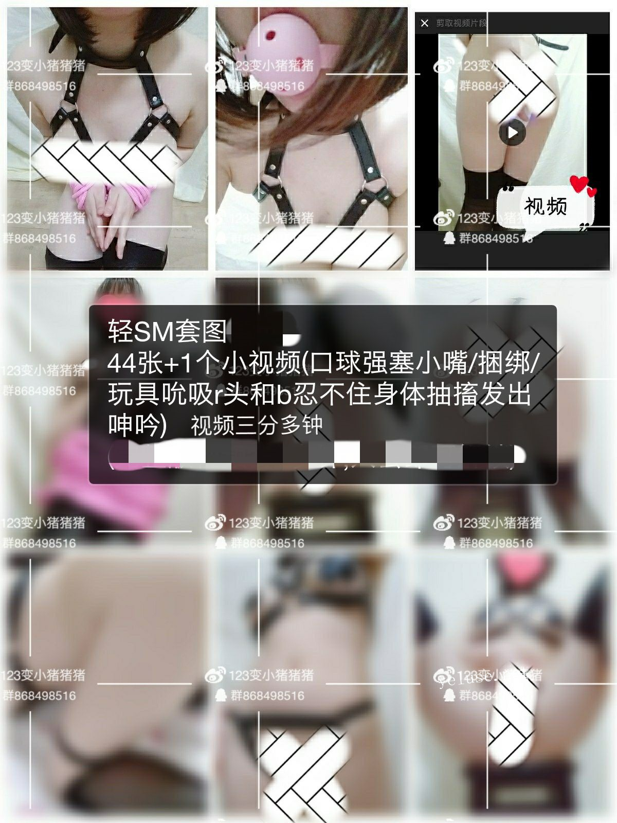 123变小猪猪 6套(1.42G)