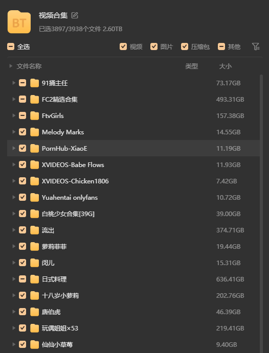 精品福利姬合集【磁力链接】2.5t+100g