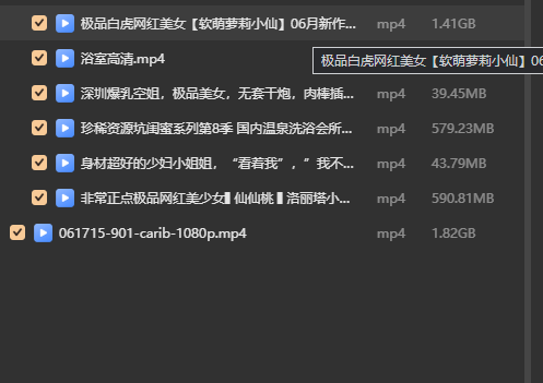 精品福利姬合集【磁力链接】2.5t+100g