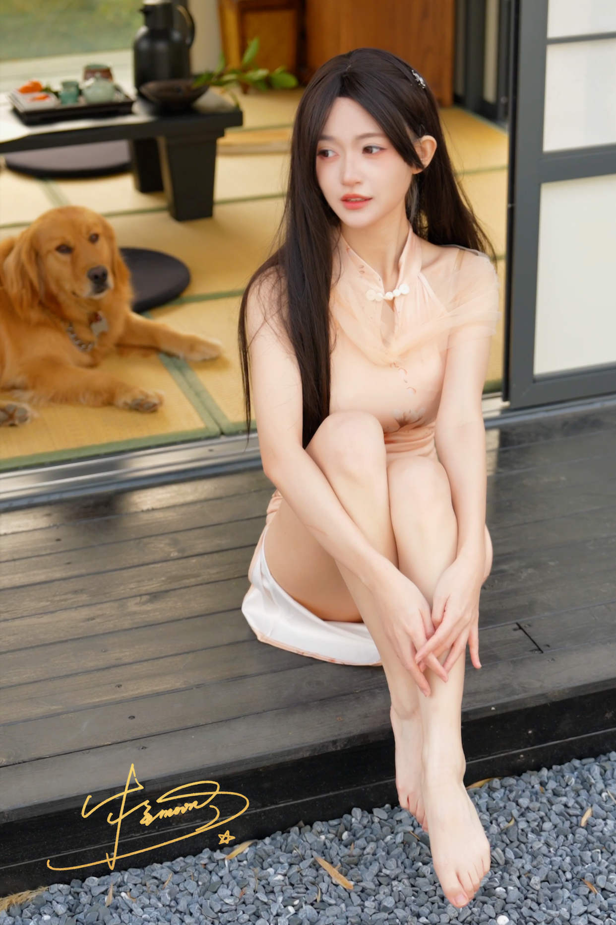 B站UP庭树沐年-收藏集[24P+9V][248MB百度云]