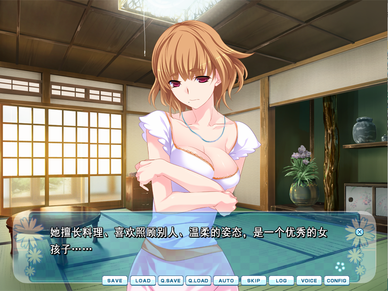 【日式ADV】エロゲーしようよっ! AI汉化版+全CG存档