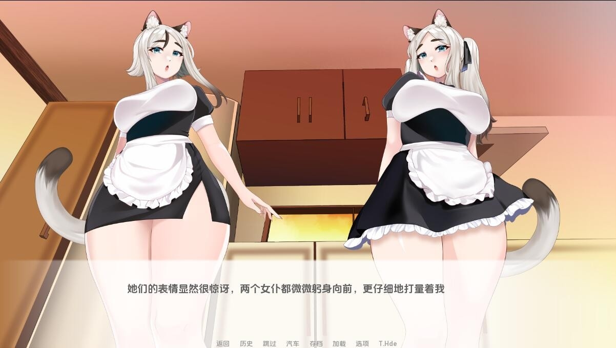 [SLG游戏/汉化] 猫女 涅槃米糠 Nezumicon-0.1.11 PC+安卓汉化版 [2.7G]