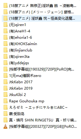 【合集】调教类番（17.22G）