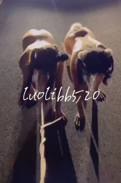 极品萝莉-萝萝萝(luolibb520)-被金主调教露出啪啪视图(14P,27V,363M)