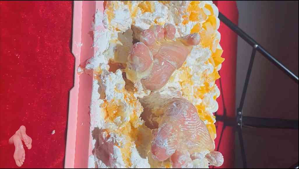 【补】【足控】蛋糕里的蜜糖玉足1v 1.12g
