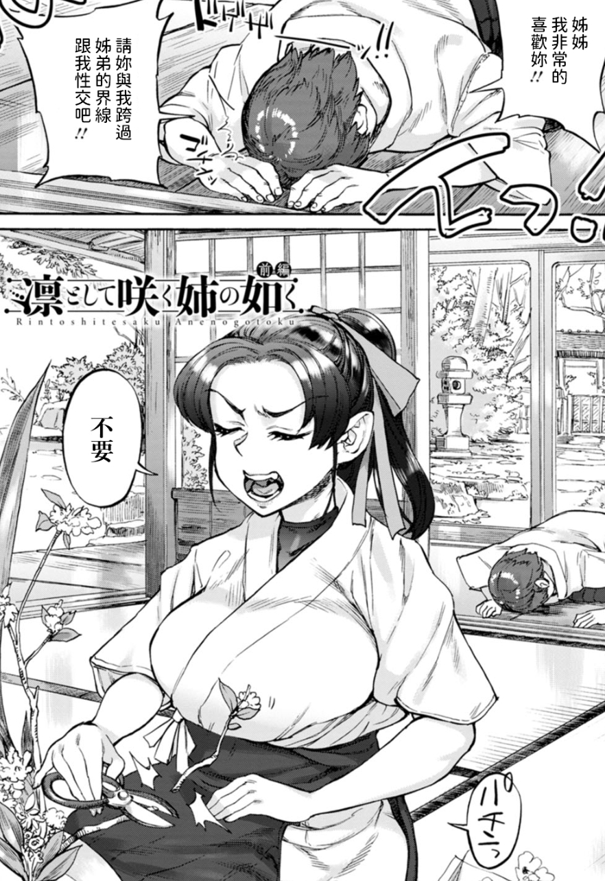 【汉化本子】凛として咲く姉の如く 32mb