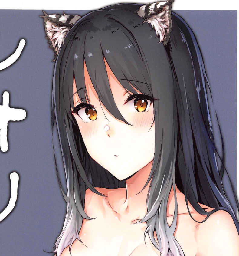 【汉化本子】シオリっぽいの!  36mb