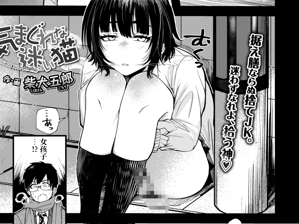 【汉化本子】気まぐれな迷い猫  63mb