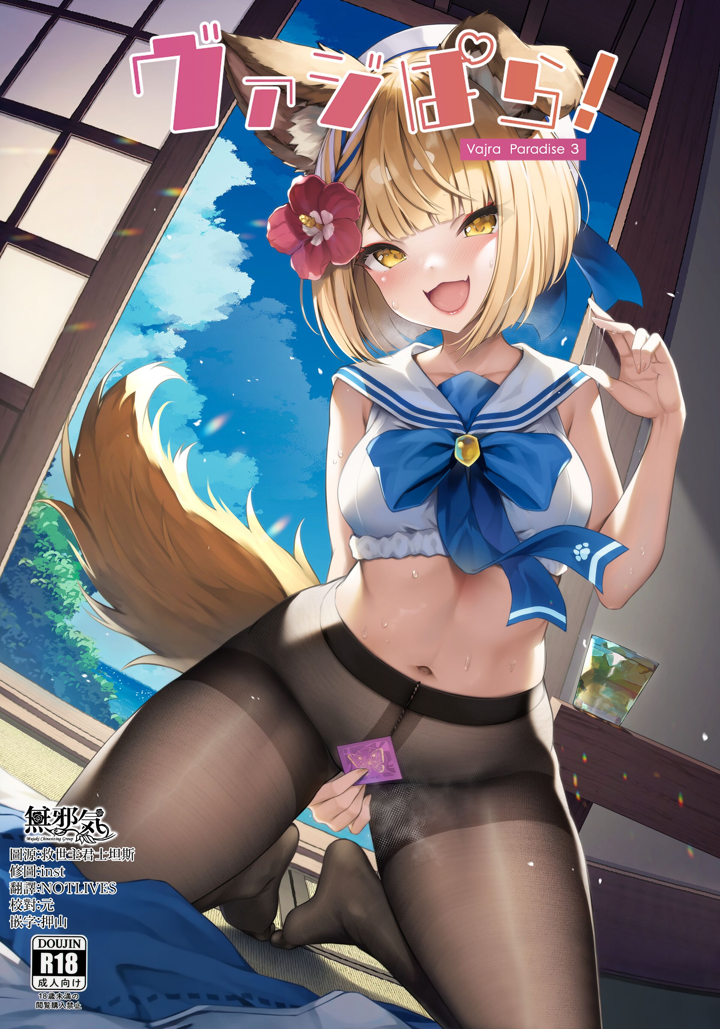 [よねや (俵太)] ヴァジぱら!3 (グランブルーファンタジー)