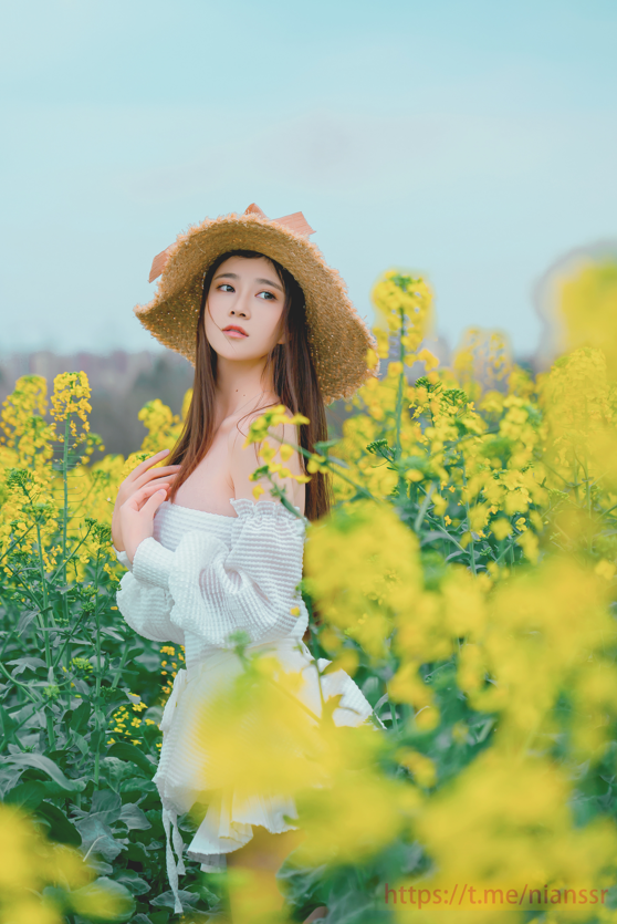 年年 - 花の野 【40P142M】