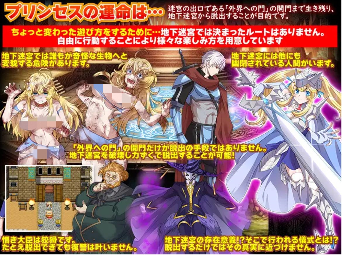 【RPG/机翻/恶堕】365天的地下迷宫:公主独自一人在绝望中生存的一年/地下迷宮365 姫様がたった一人で生き抜く絶望の一年間【PC/400M】