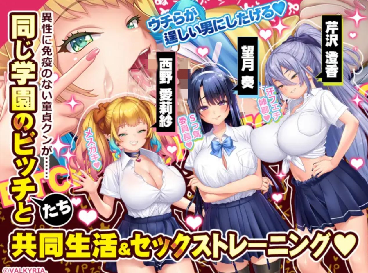 【ADV/汉化/巨乳/淫乱】哈雷姆公寓!/ハーレムビッチハウス!【PC/2.8G】