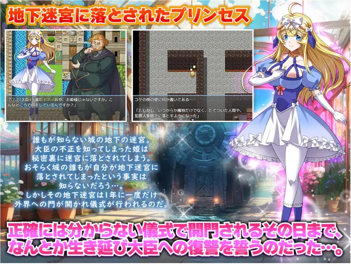 【RPG/机翻/恶堕】365天的地下迷宫:公主独自一人在绝望中生存的一年/地下迷宮365 姫様がたった一人で生き抜く絶望の一年間【PC/400M】
