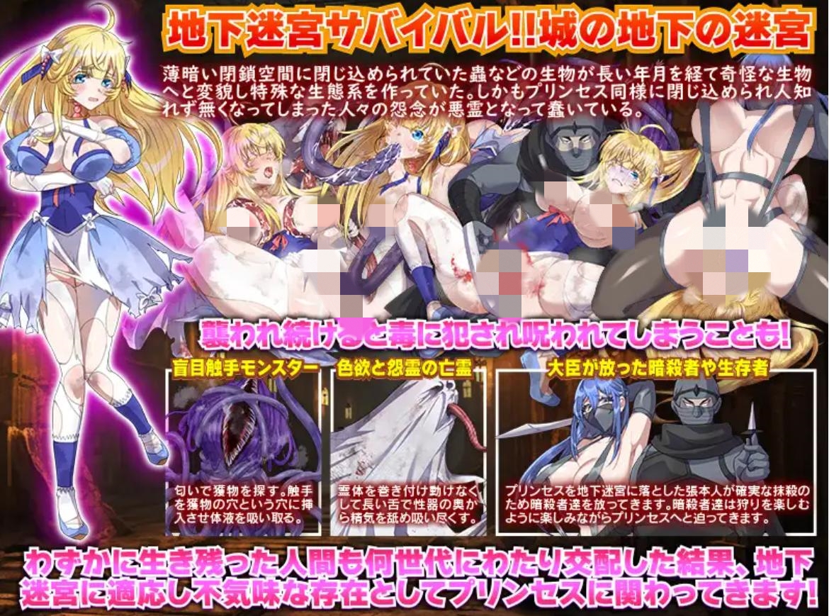 【RPG/机翻/恶堕】365天的地下迷宫:公主独自一人在绝望中生存的一年/地下迷宮365 姫様がたった一人で生き抜く絶望の一年間【PC/400M】