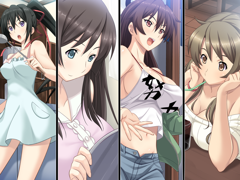 【拔作ADV】姉にこの夏 GPT汉化版+全CG存档