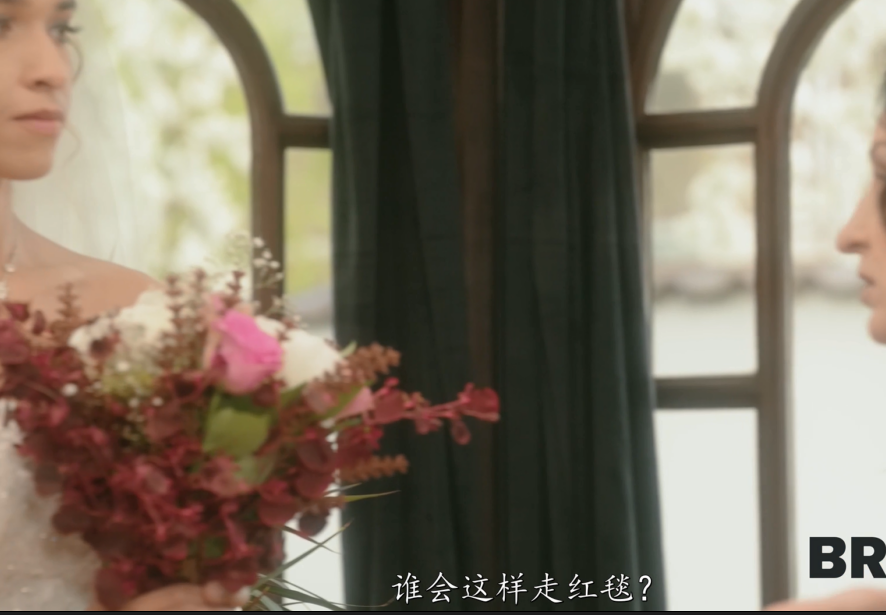 欧美AV-briana banderas-婚礼预演,中文字幕(1V,2.02G)