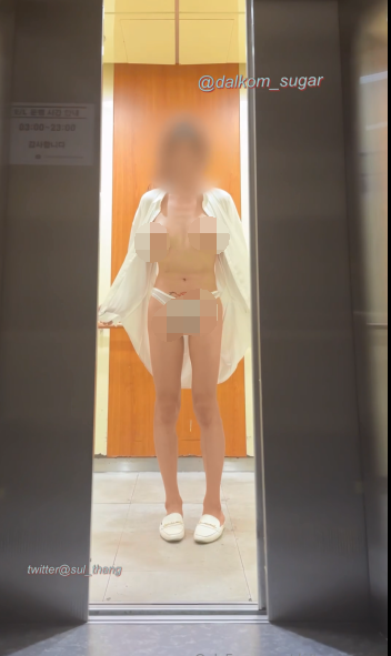 另类821弹-韩国TS dalkom_sugar-新（2V,1.46G）
