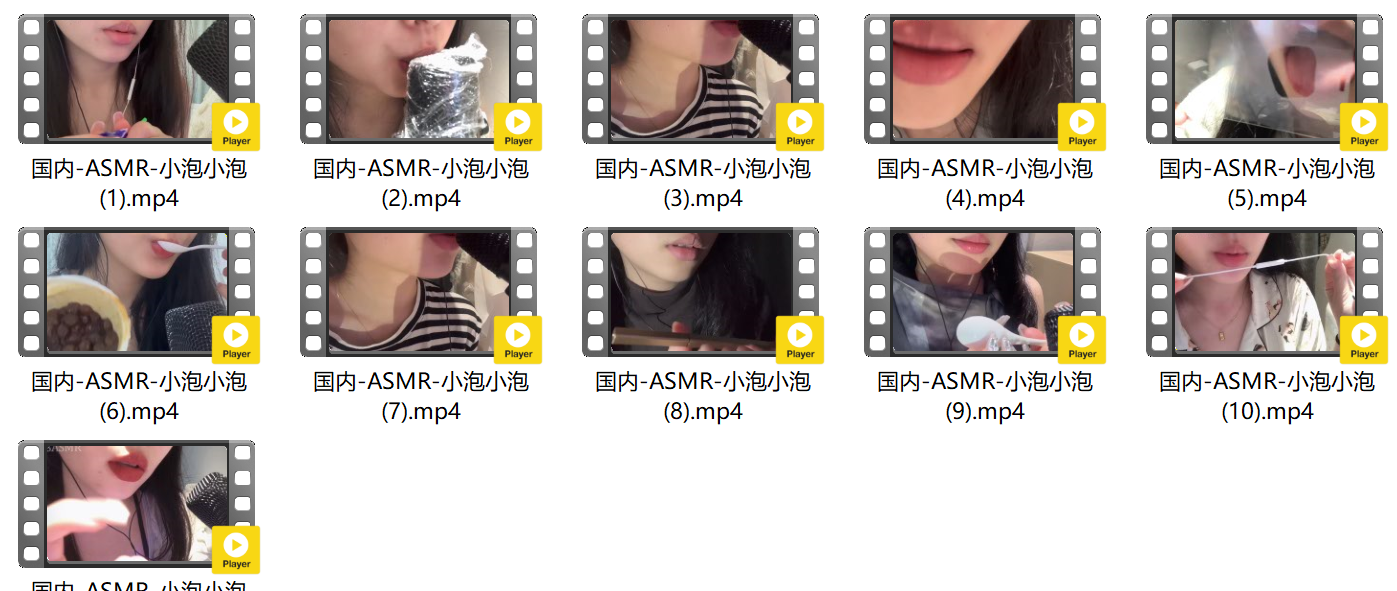 国内-ASMR-小泡小泡-1【2G】