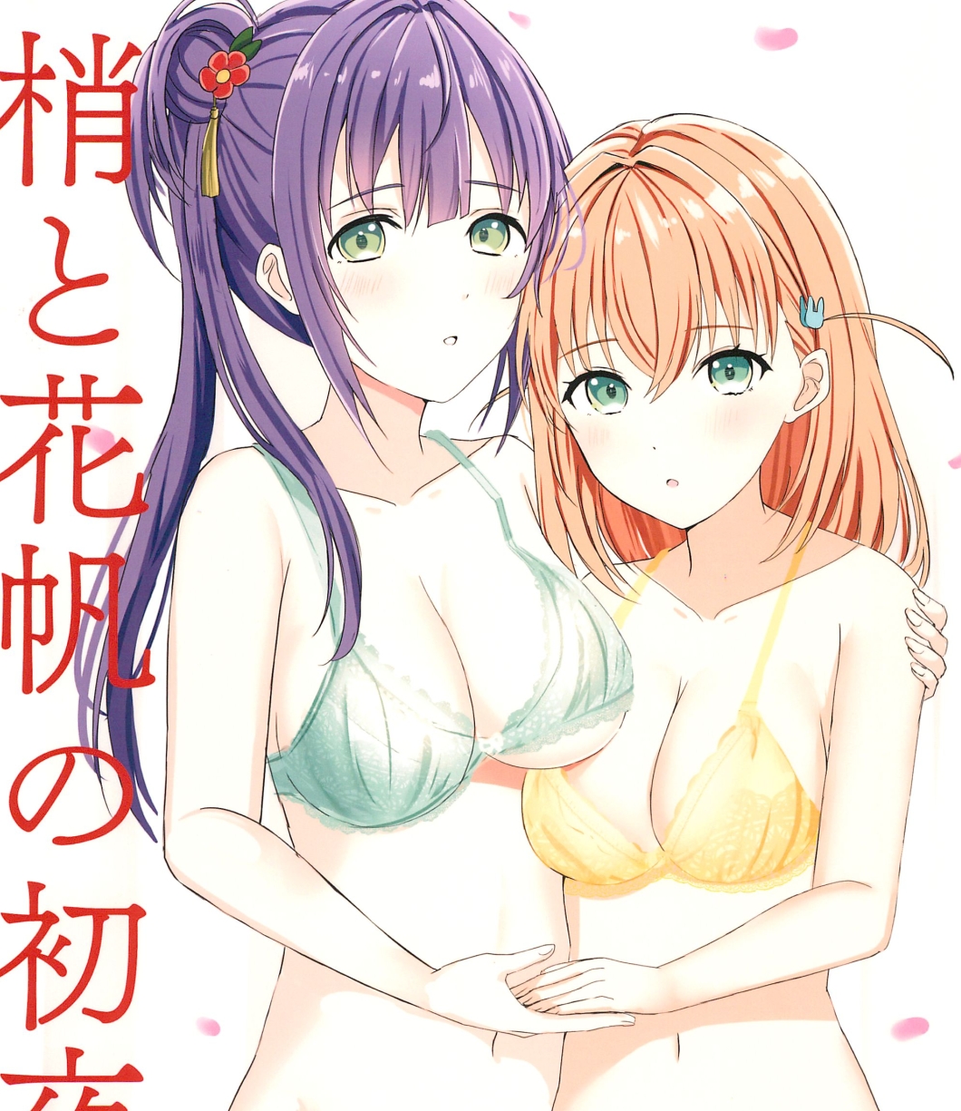 【汉化本子】梢と花帆の初夜 91mb