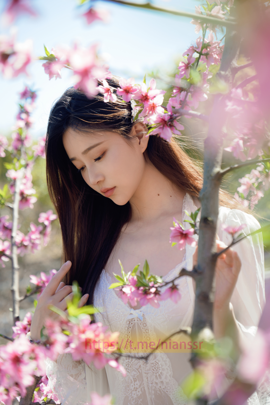 年年 - 桃花源 【78P320M】