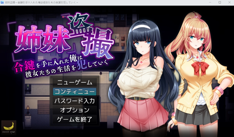 【日式RPG】姉妹盗撮~合鍵を手に入れた俺は彼女たちの生活を犯していく~AI汉化版