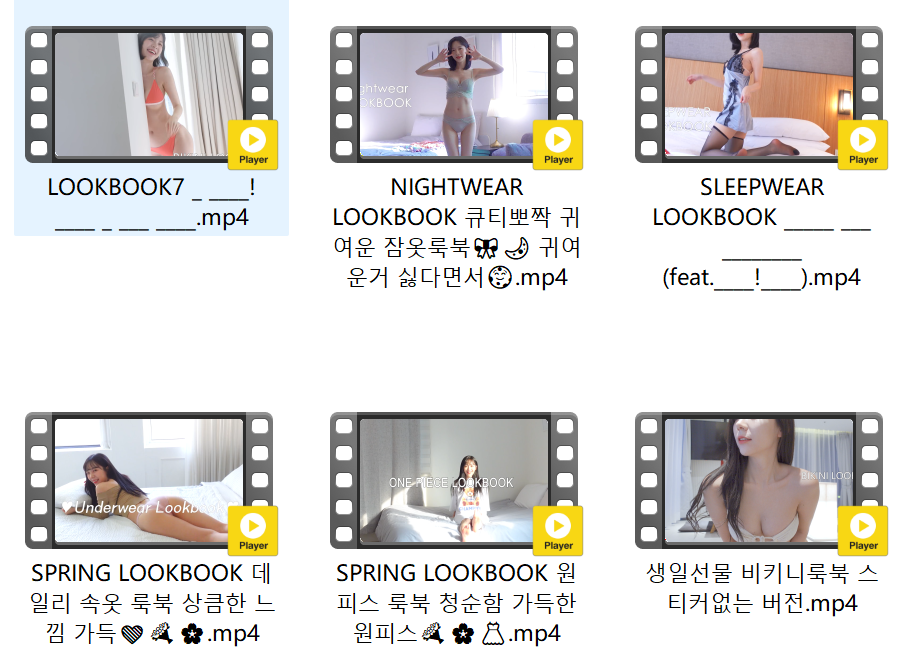 leeesovely(쏘블리) YouTube  LOOKBOOK 换衣装扮【2.8G】