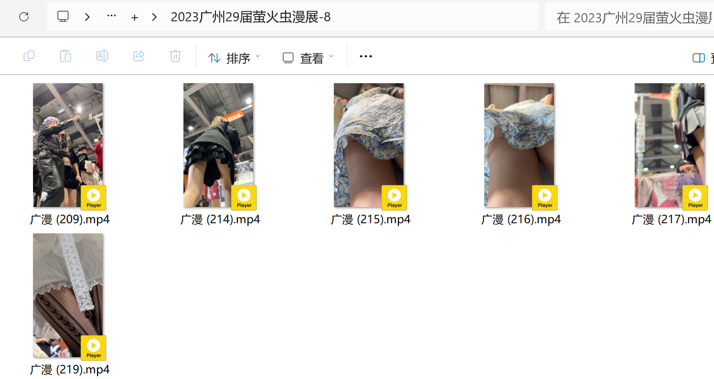 2023广州29届萤火虫漫展-8【2.1G】